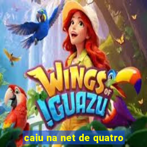 caiu na net de quatro