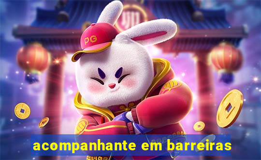 acompanhante em barreiras