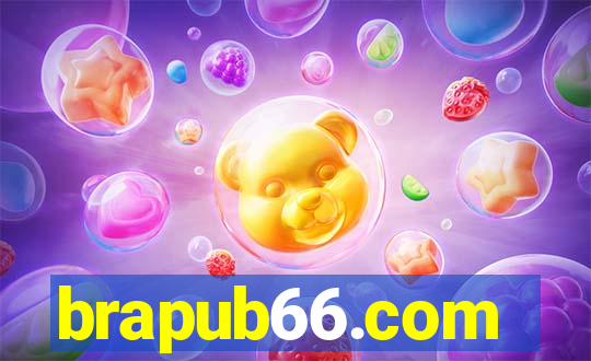 brapub66.com