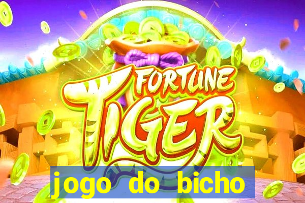 jogo do bicho banca ouro verde