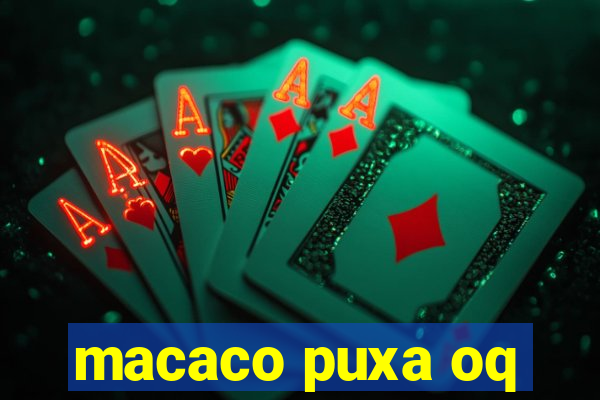 macaco puxa oq