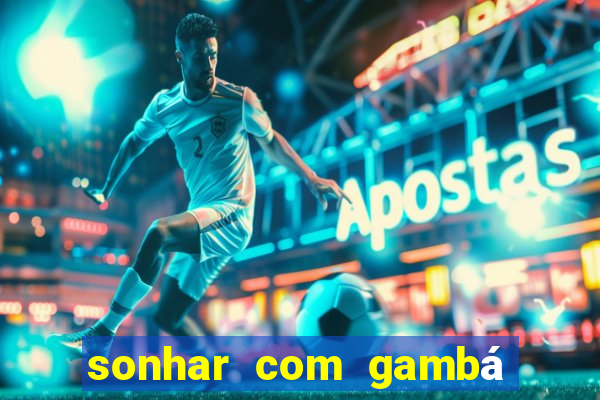 sonhar com gambá jogo do bicho