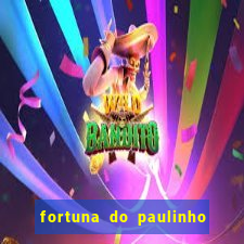 fortuna do paulinho do roupa nova