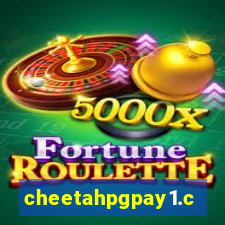 cheetahpgpay1.com