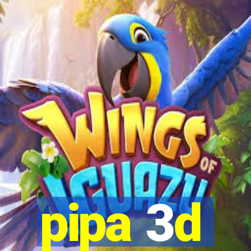 pipa 3d