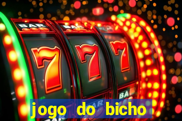 jogo do bicho crash bingo