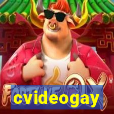 cvideogay